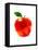Apple-Enrico Varrasso-Framed Stretched Canvas