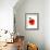 Apple-Enrico Varrasso-Framed Premium Giclee Print displayed on a wall