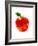 Apple-Enrico Varrasso-Framed Art Print