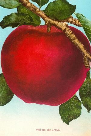 Apple' Art Print | Art.com Apple' Art Print | Art.com