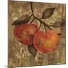 Apple-Silvia Vassileva-Mounted Art Print