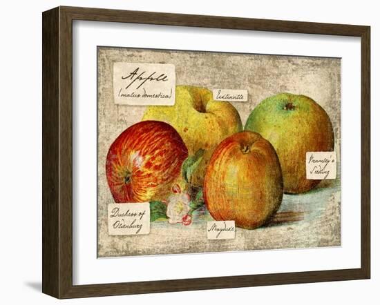 Apple-Kate Ward Thacker-Framed Giclee Print