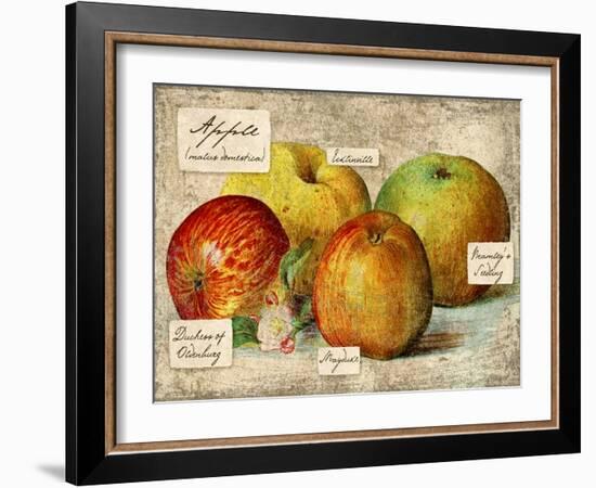 Apple-Kate Ward Thacker-Framed Giclee Print