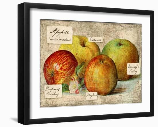 Apple-Kate Ward Thacker-Framed Giclee Print