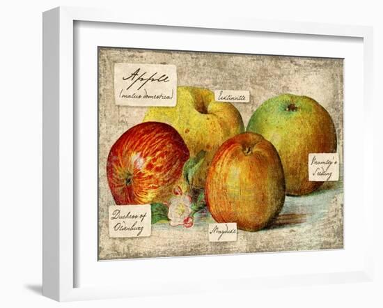 Apple-Kate Ward Thacker-Framed Giclee Print