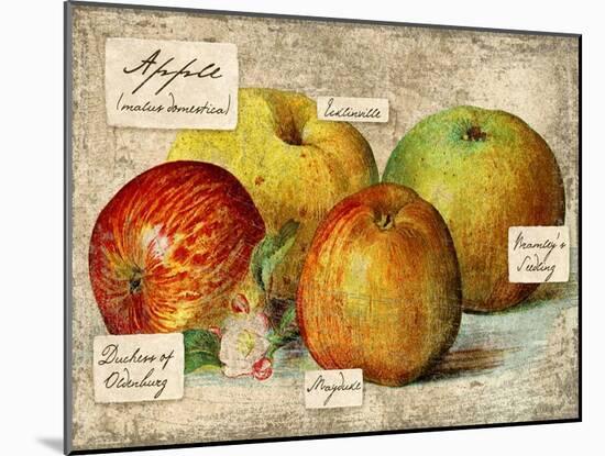 Apple-Kate Ward Thacker-Mounted Giclee Print