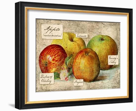 Apple-Kate Ward Thacker-Framed Giclee Print