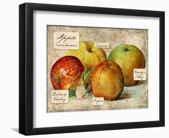 Apple-Kate Ward Thacker-Framed Giclee Print