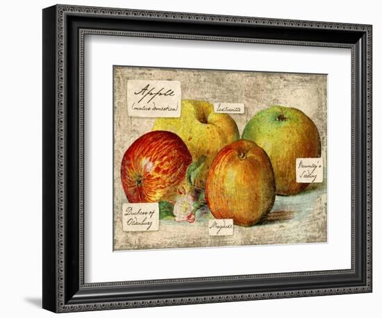 Apple-Kate Ward Thacker-Framed Giclee Print