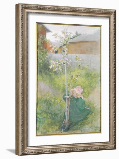 Appleblossom, 1894-Carl Larsson-Framed Giclee Print