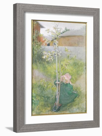 Appleblossom, 1894-Carl Larsson-Framed Giclee Print