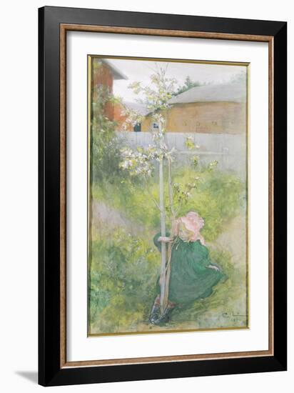 Appleblossom, 1894-Carl Larsson-Framed Giclee Print