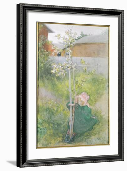 Appleblossom, 1894-Carl Larsson-Framed Giclee Print