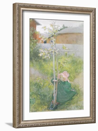 Appleblossom, 1894-Carl Larsson-Framed Giclee Print