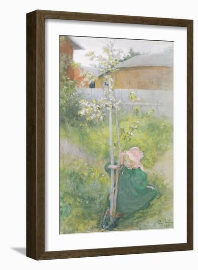 Appleblossom, 1894-Carl Larsson-Framed Giclee Print