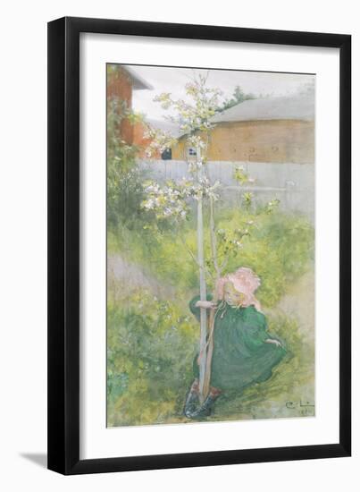 Appleblossom, 1894-Carl Larsson-Framed Giclee Print