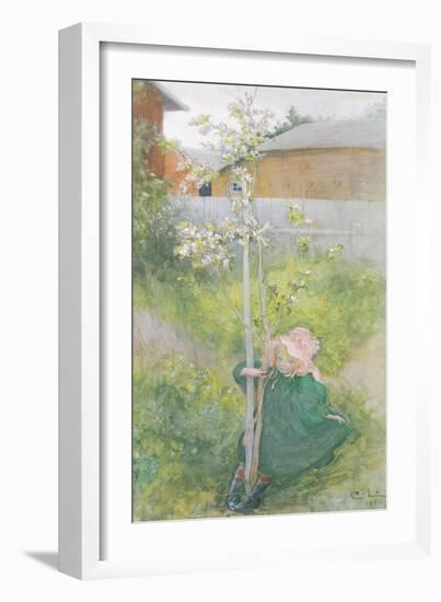 Appleblossom, 1894-Carl Larsson-Framed Giclee Print