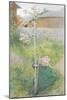 Appleblossom, 1894-Carl Larsson-Mounted Giclee Print