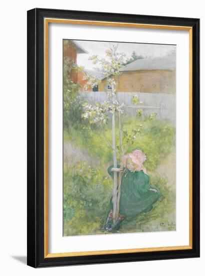 Appleblossom, 1894-Carl Larsson-Framed Giclee Print