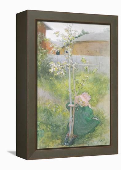 Appleblossom, 1894-Carl Larsson-Framed Premier Image Canvas