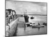 Appledore-null-Mounted Photographic Print