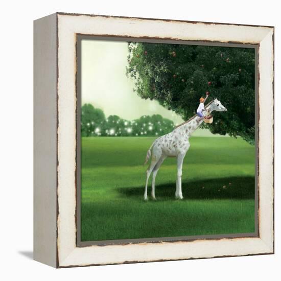 Applepicking-Nancy Tillman-Framed Stretched Canvas