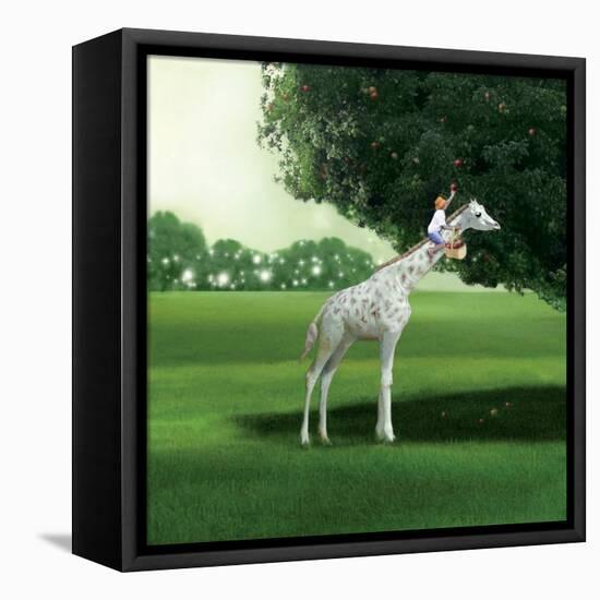 Applepicking-Nancy Tillman-Framed Stretched Canvas