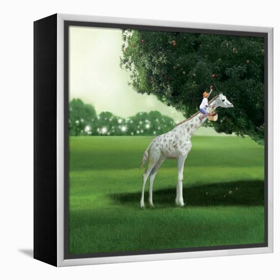 Applepicking-Nancy Tillman-Framed Stretched Canvas