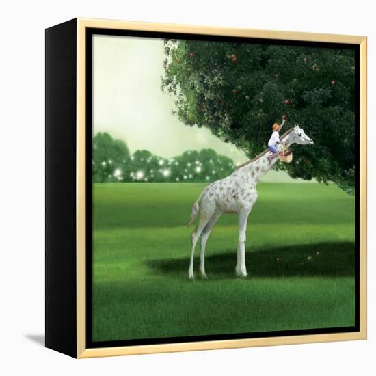 Applepicking-Nancy Tillman-Framed Stretched Canvas