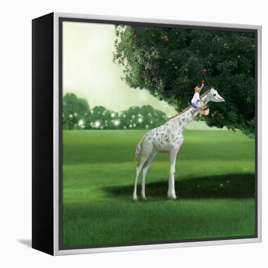 Applepicking-Nancy Tillman-Framed Stretched Canvas