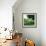 Applepicking-Nancy Tillman-Framed Premium Giclee Print displayed on a wall