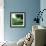 Applepicking-Nancy Tillman-Framed Premium Giclee Print displayed on a wall