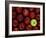 Apples #3-Monte Nagler-Framed Photographic Print