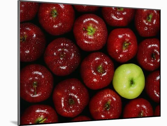 Apples #3-Monte Nagler-Mounted Photographic Print