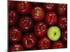 Apples #3-Monte Nagler-Mounted Photographic Print