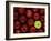 Apples #3-Monte Nagler-Framed Photographic Print