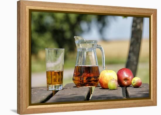 Apples and apple juice, Saargau, Rhineland-Palatinate, Germany, Europe-Hans-Peter Merten-Framed Premier Image Canvas