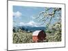 Apples and Barn-unknown unknown-Mounted Photo