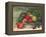 Apples and Holly-Carol Rowan-Framed Stretched Canvas