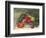 Apples and Holly-Carol Rowan-Framed Premium Giclee Print