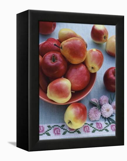 Apples and Pears in Fruit Bowl-Vladimir Shulevsky-Framed Premier Image Canvas