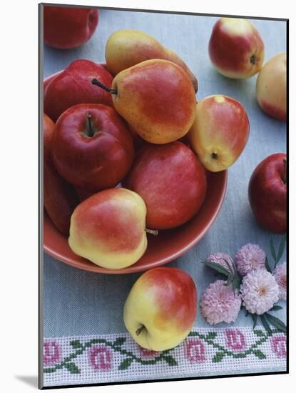 Apples and Pears in Fruit Bowl-Vladimir Shulevsky-Mounted Photographic Print