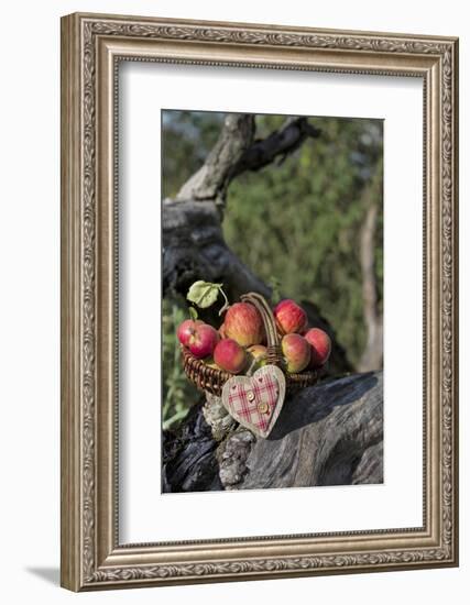 Apples, Basket, Heart, Old Trunk, Outside-Andrea Haase-Framed Photographic Print