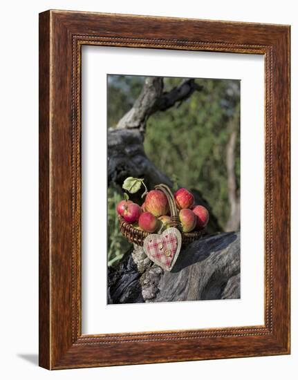 Apples, Basket, Heart, Old Trunk, Outside-Andrea Haase-Framed Photographic Print