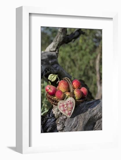 Apples, Basket, Heart, Old Trunk, Outside-Andrea Haase-Framed Photographic Print