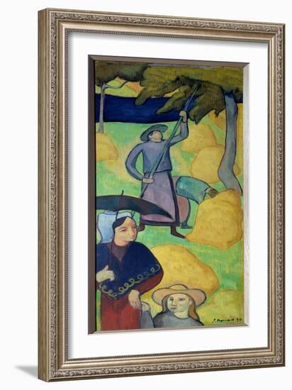 Apples Gaulting. Picking Apples from an Orchard, 1890 (Oil on Canvas)-Emile Bernard-Framed Giclee Print
