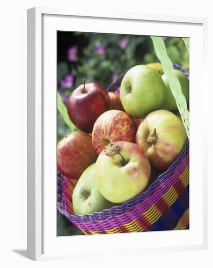 Apples (Granny Smith and Gala) in a Basket-Linda Burgess-Framed Photographic Print