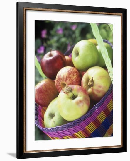 Apples (Granny Smith and Gala) in a Basket-Linda Burgess-Framed Photographic Print