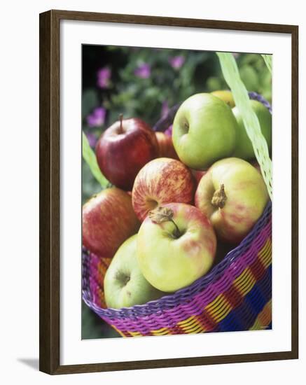 Apples (Granny Smith and Gala) in a Basket-Linda Burgess-Framed Photographic Print