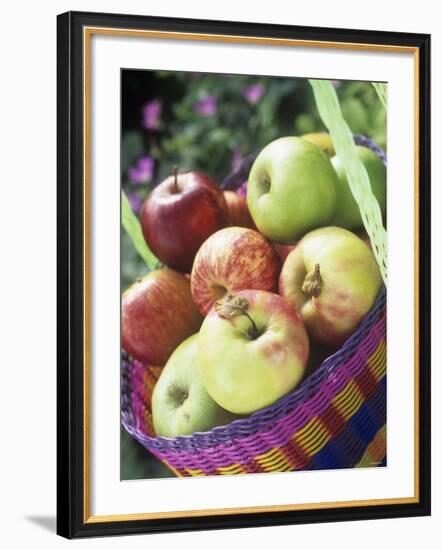 Apples (Granny Smith and Gala) in a Basket-Linda Burgess-Framed Photographic Print